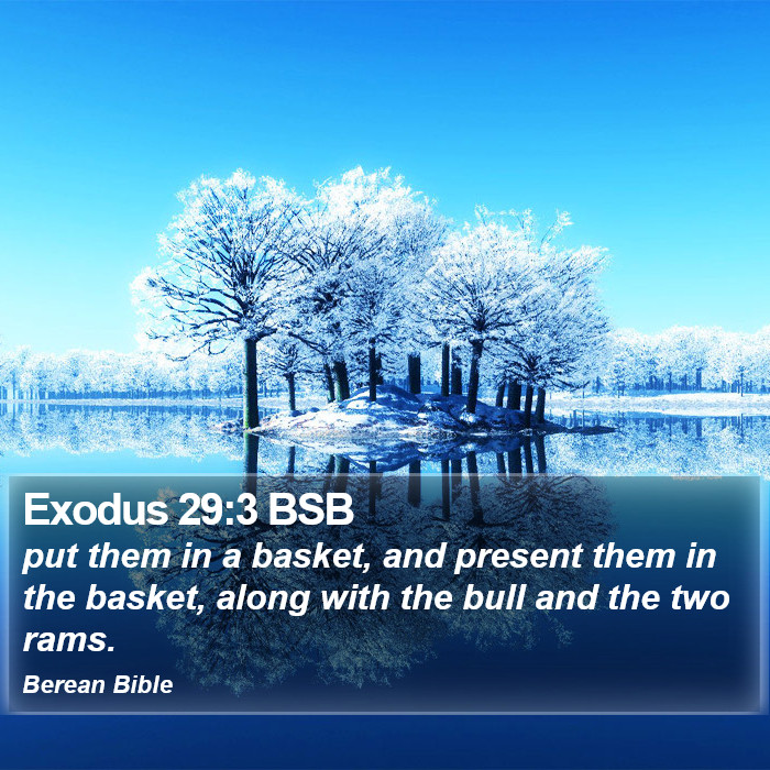 Exodus 29:3 BSB Bible Study