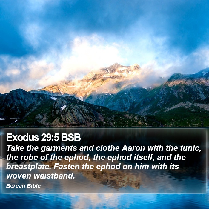 Exodus 29:5 BSB Bible Study