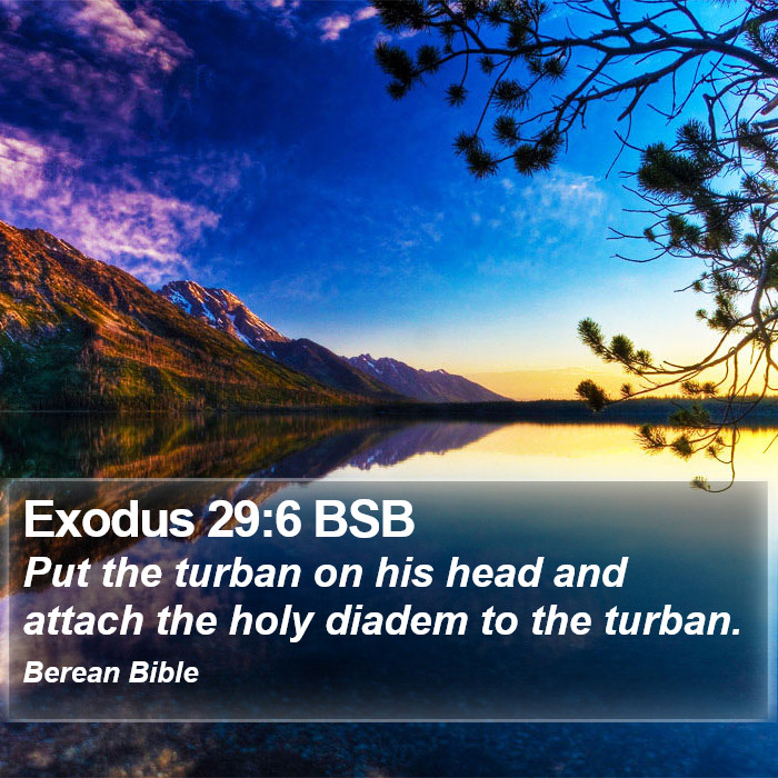 Exodus 29:6 BSB Bible Study