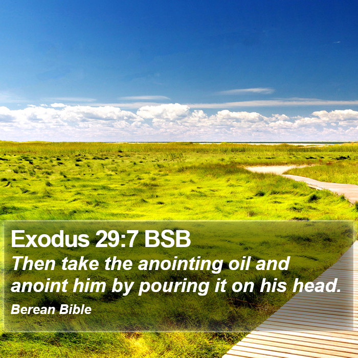 Exodus 29:7 BSB Bible Study