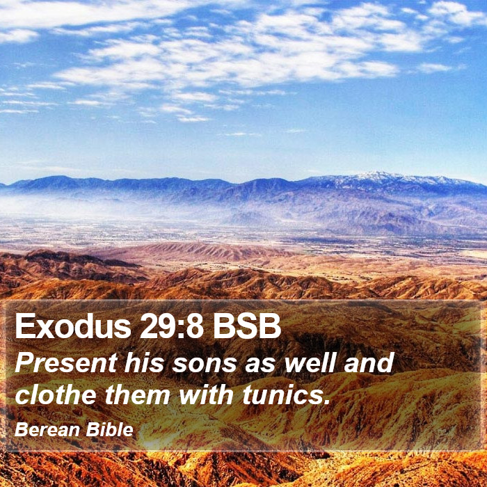 Exodus 29:8 BSB Bible Study