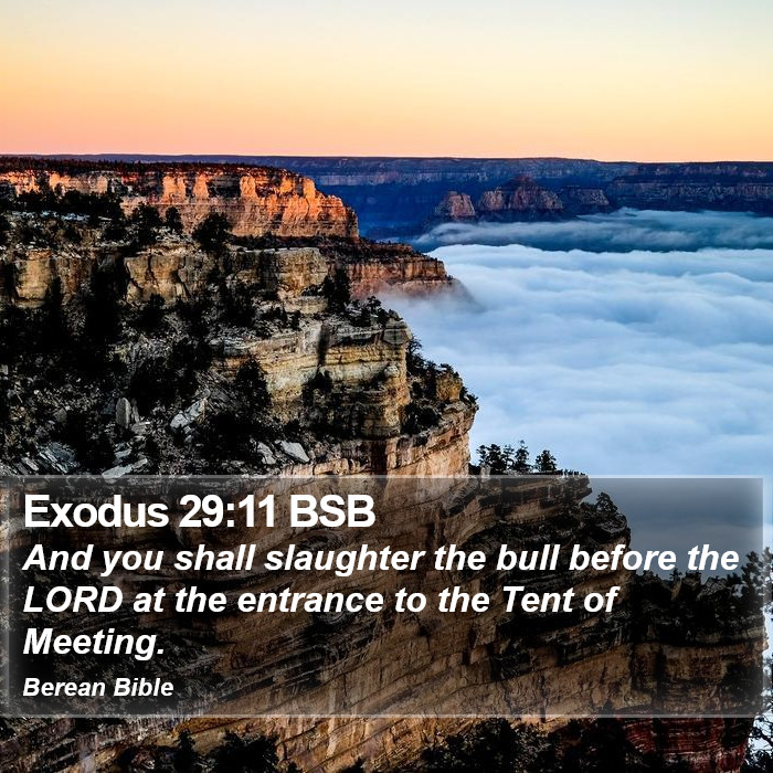 Exodus 29:11 BSB Bible Study