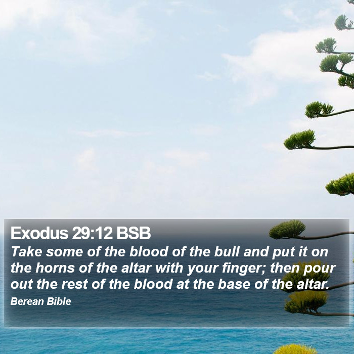 Exodus 29:12 BSB Bible Study