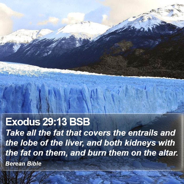 Exodus 29:13 BSB Bible Study