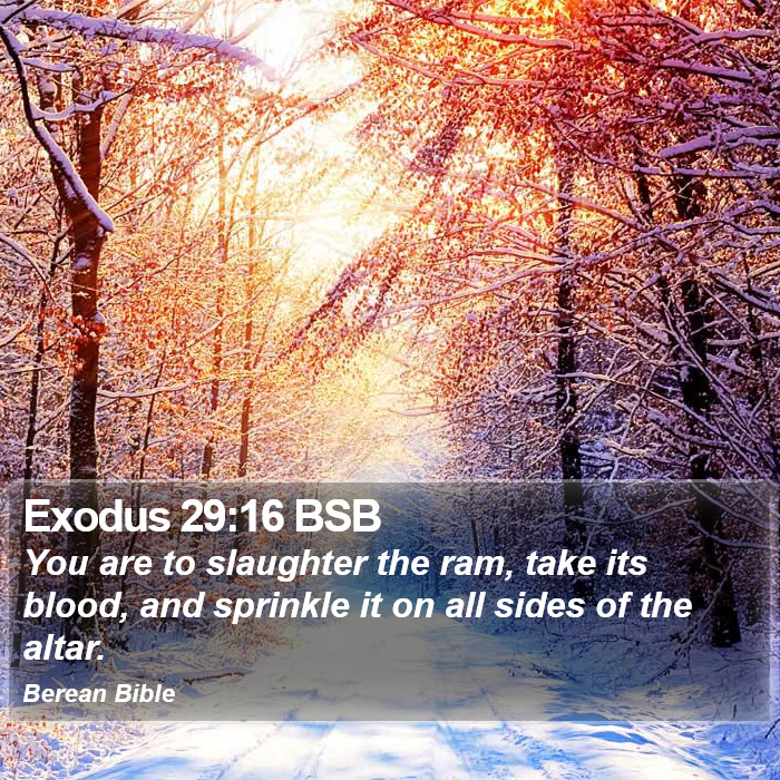 Exodus 29:16 BSB Bible Study