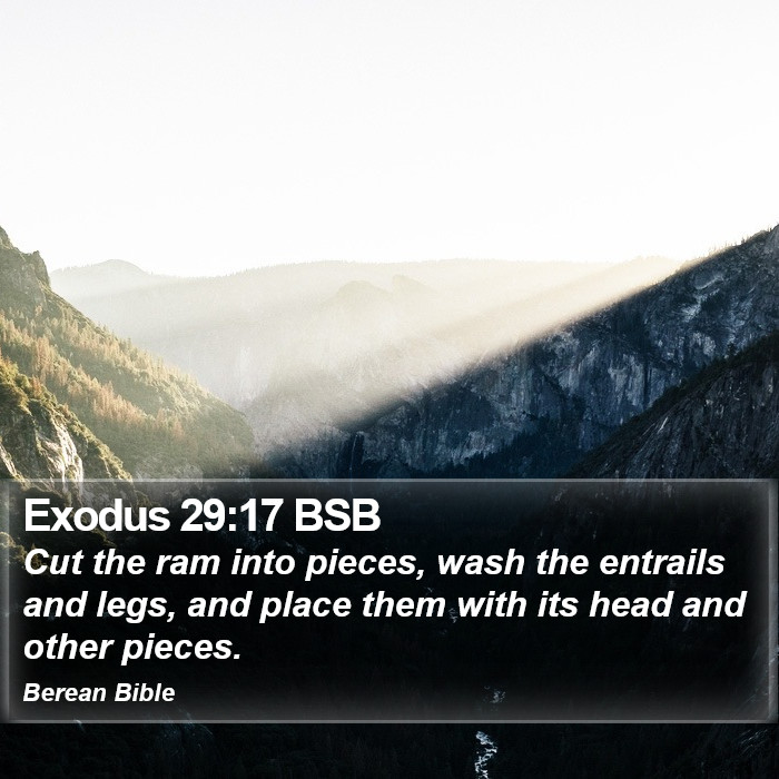 Exodus 29:17 BSB Bible Study