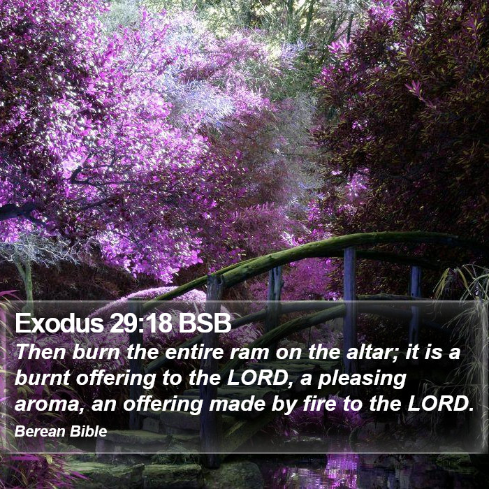 Exodus 29:18 BSB Bible Study