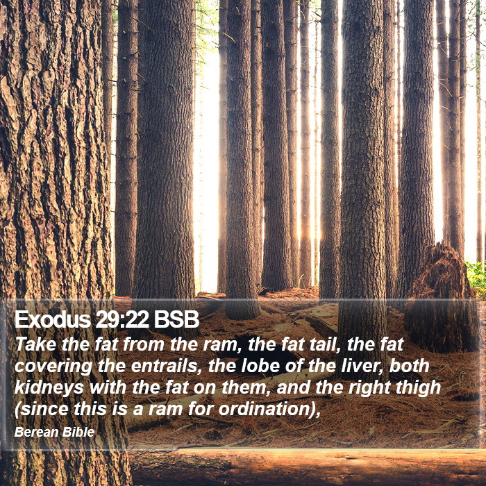 Exodus 29:22 BSB Bible Study