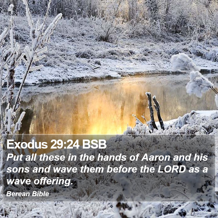 Exodus 29:24 BSB Bible Study