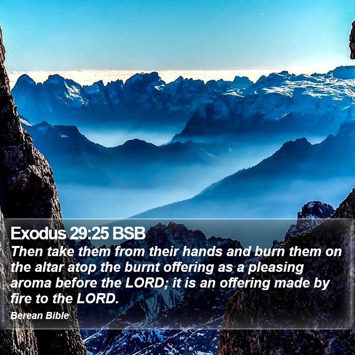 Exodus 29:25 BSB Bible Study