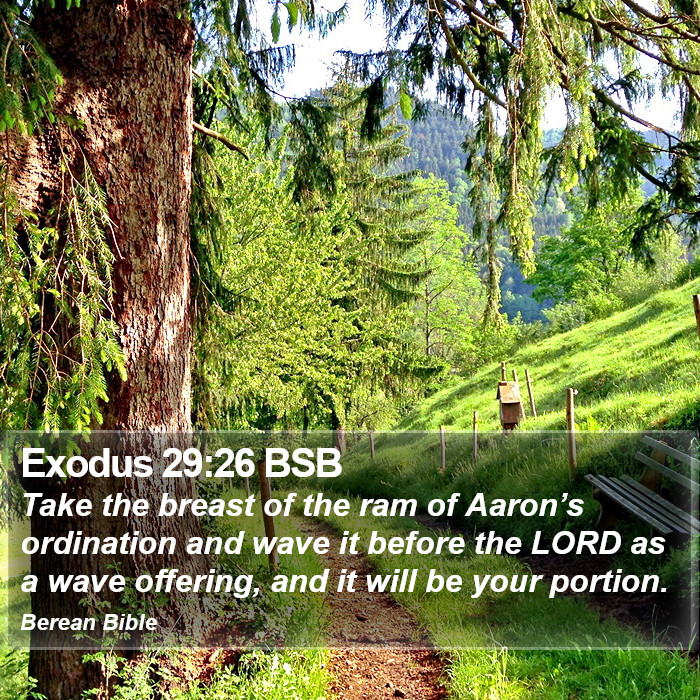 Exodus 29:26 BSB Bible Study