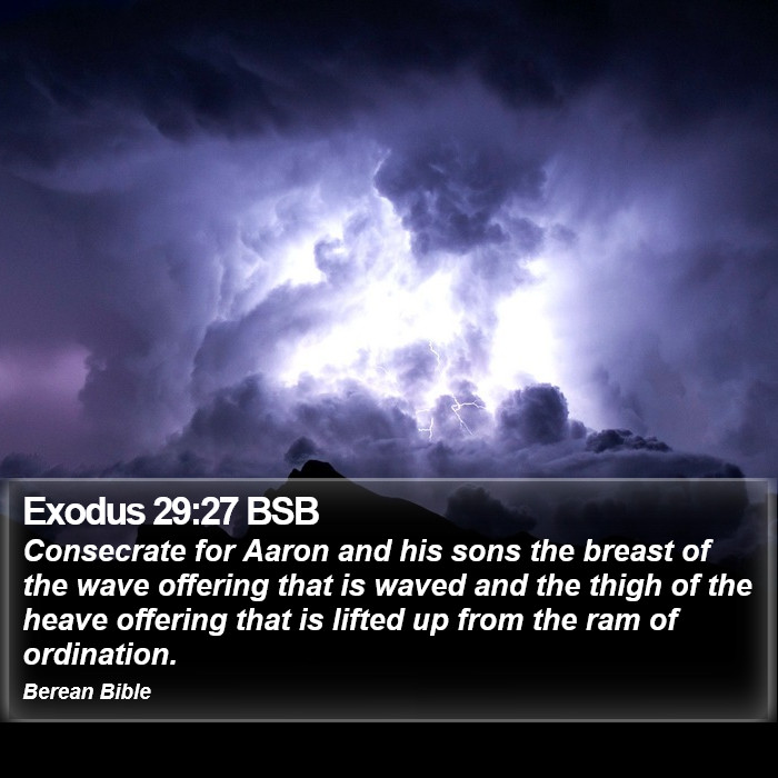 Exodus 29:27 BSB Bible Study