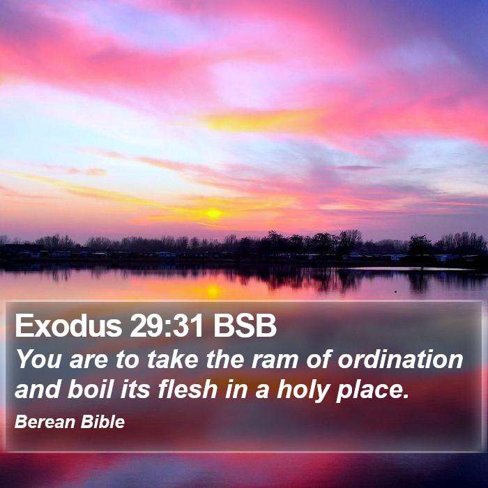 Exodus 29:31 BSB Bible Study