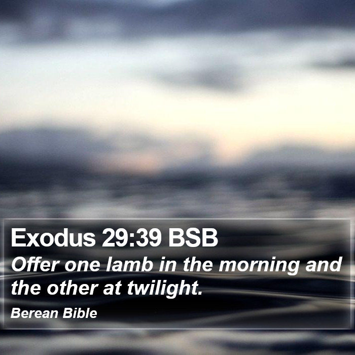 Exodus 29:39 BSB Bible Study