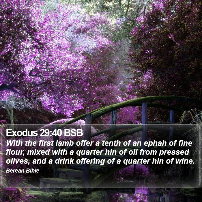 Exodus 29:40 BSB Bible Study