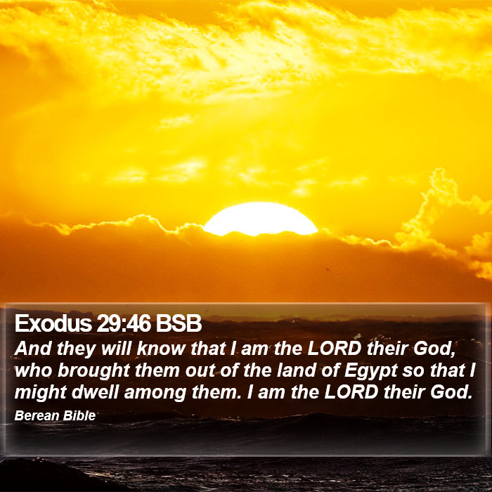 Exodus 29:46 BSB Bible Study