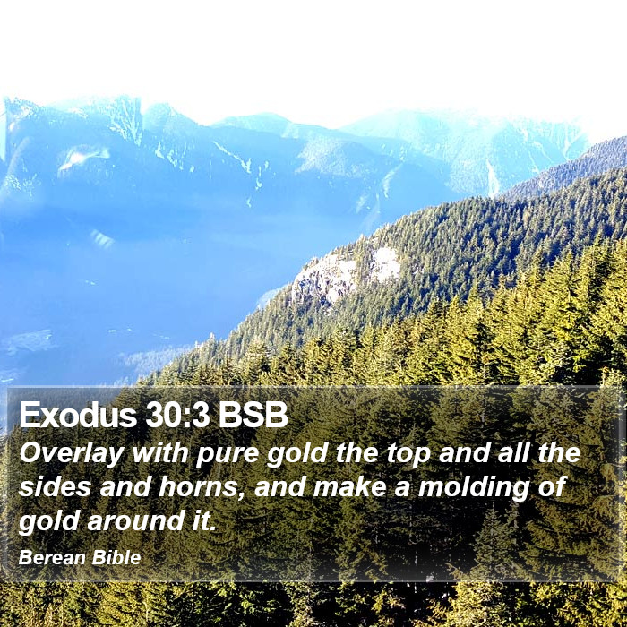 Exodus 30:3 BSB Bible Study