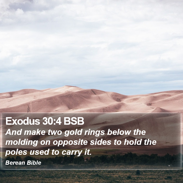 Exodus 30:4 BSB Bible Study