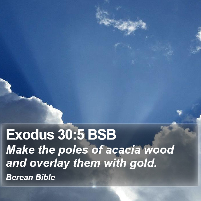 Exodus 30:5 BSB Bible Study