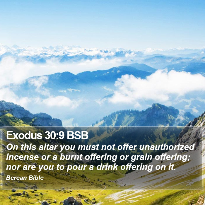 Exodus 30:9 BSB Bible Study