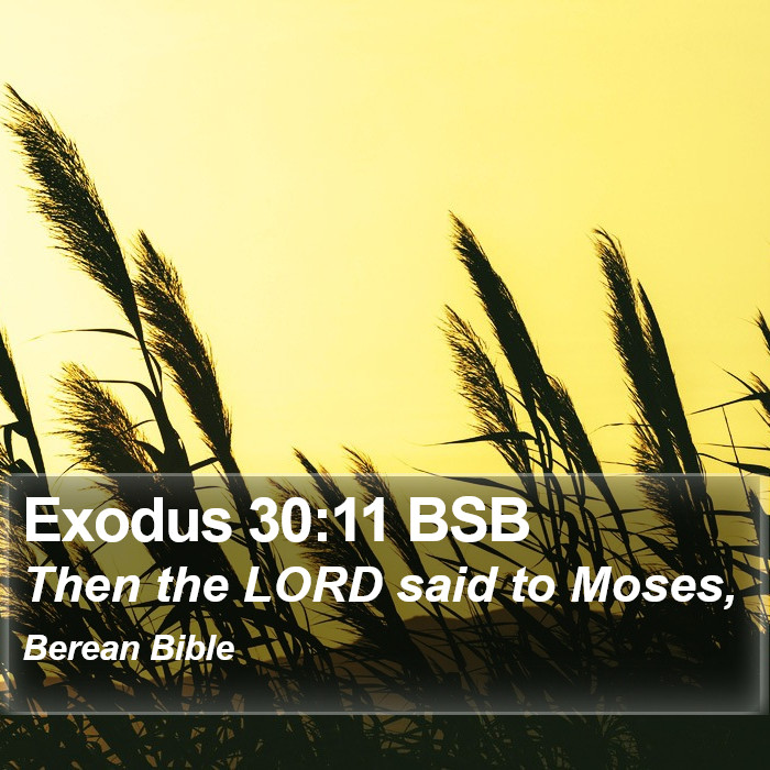 Exodus 30:11 BSB Bible Study