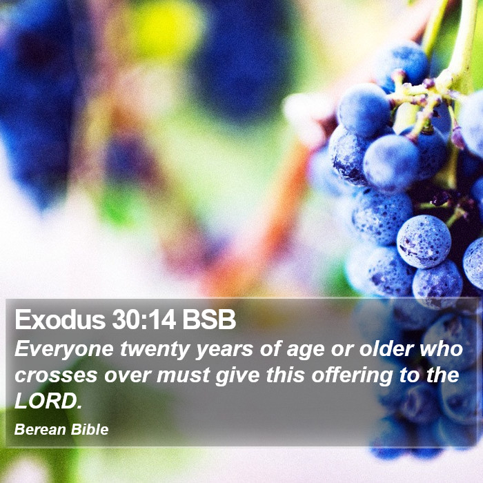 Exodus 30:14 BSB Bible Study