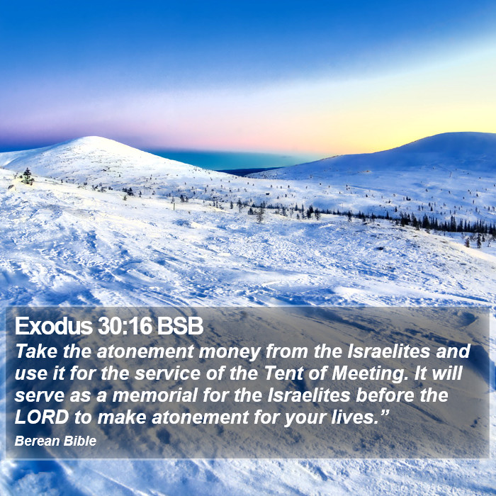 Exodus 30:16 BSB Bible Study