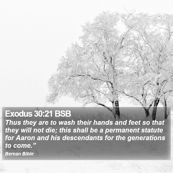 Exodus 30:21 BSB Bible Study