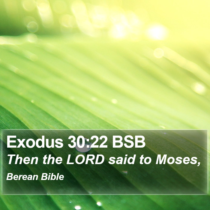 Exodus 30:22 BSB Bible Study