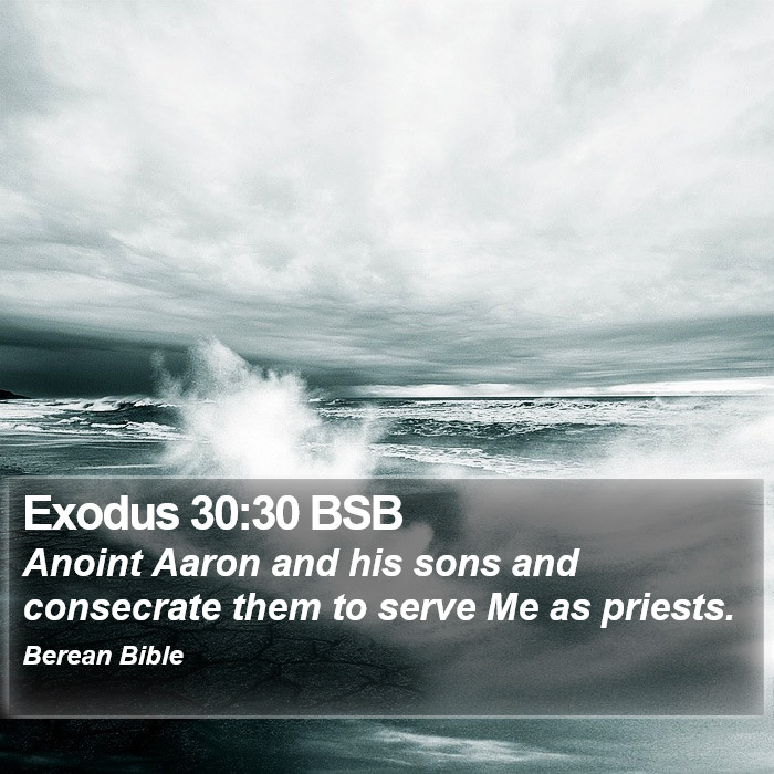 Exodus 30:30 BSB Bible Study