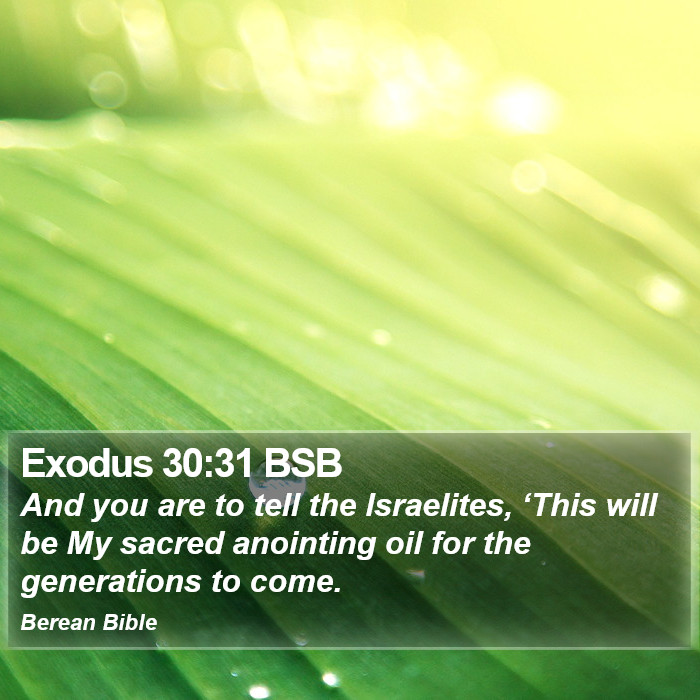 Exodus 30:31 BSB Bible Study