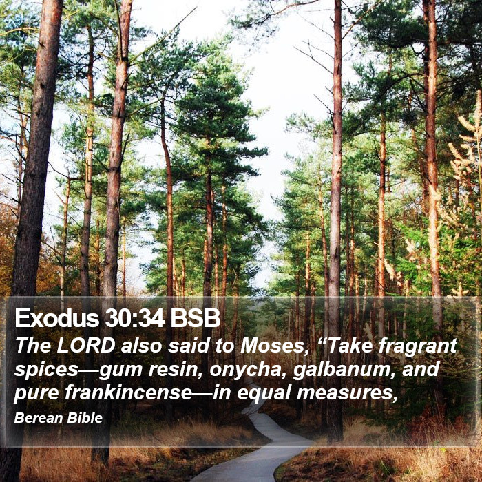 Exodus 30:34 BSB Bible Study