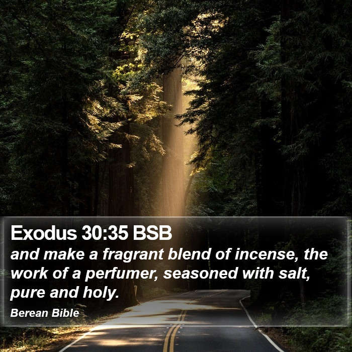 Exodus 30:35 BSB Bible Study