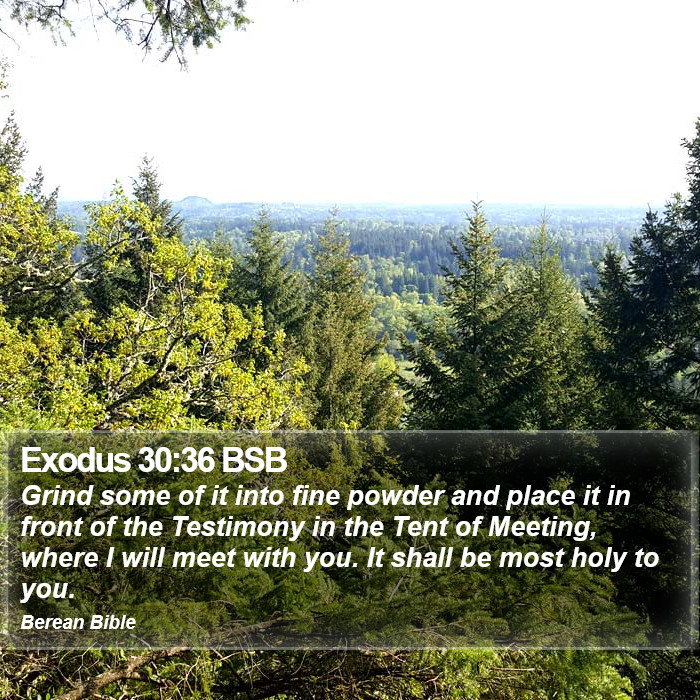 Exodus 30:36 BSB Bible Study