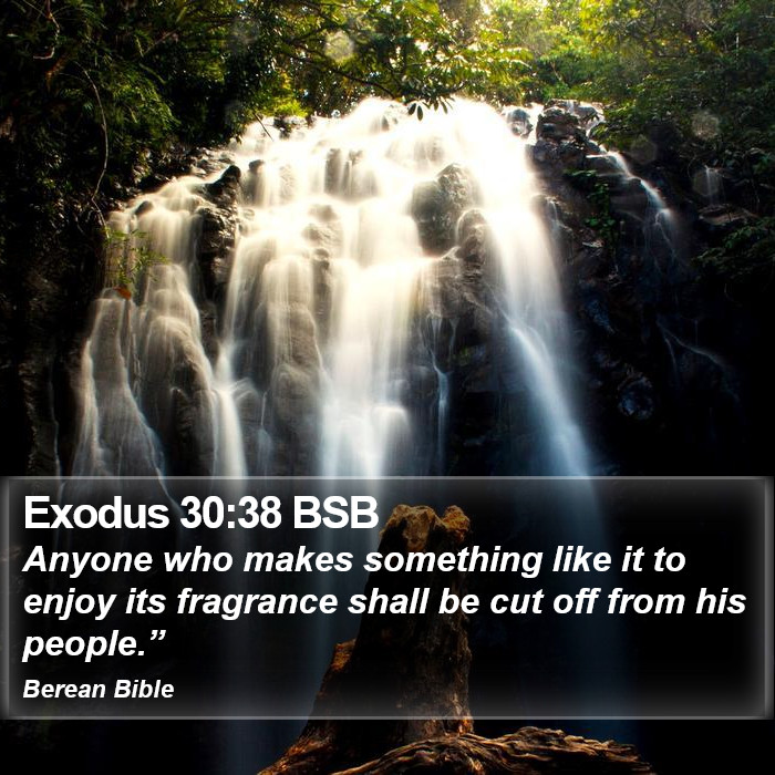 Exodus 30:38 BSB Bible Study