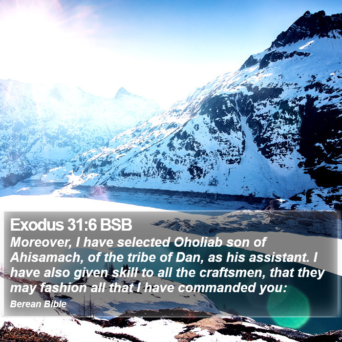 Exodus 31:6 BSB Bible Study