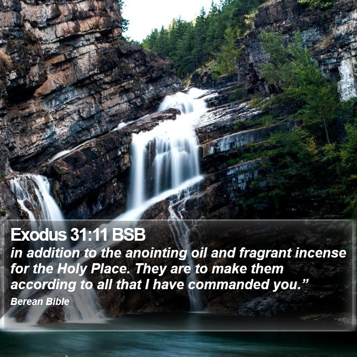 Exodus 31:11 BSB Bible Study