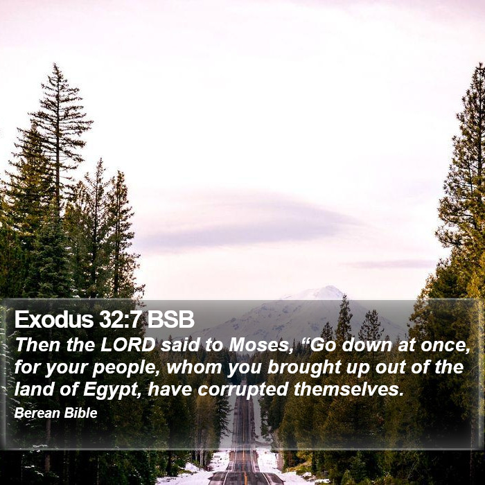 Exodus 32:7 BSB Bible Study