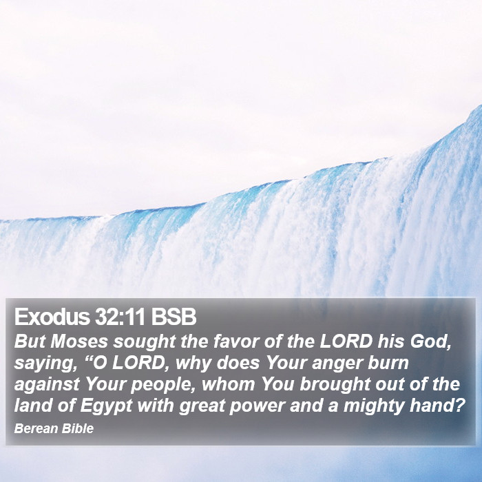 Exodus 32:11 BSB Bible Study