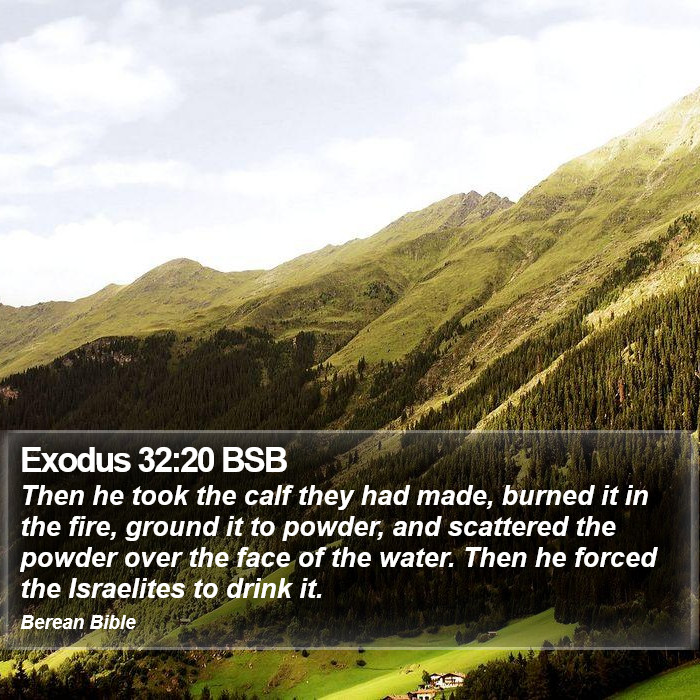 Exodus 32:20 BSB Bible Study