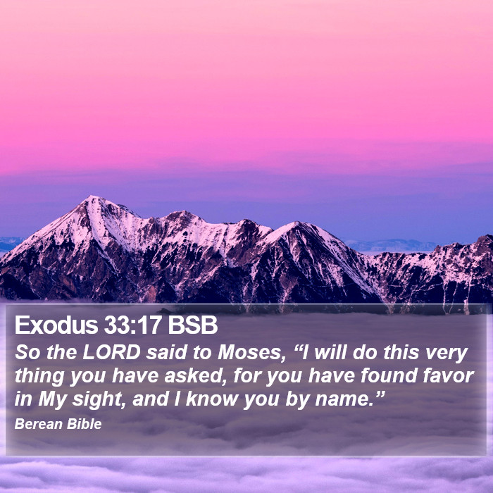 Exodus 33:17 BSB Bible Study