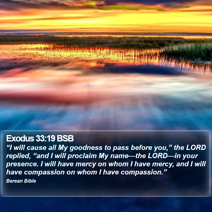 Exodus 33:19 BSB Bible Study