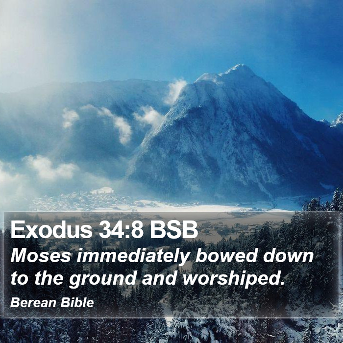 Exodus 34:8 BSB Bible Study