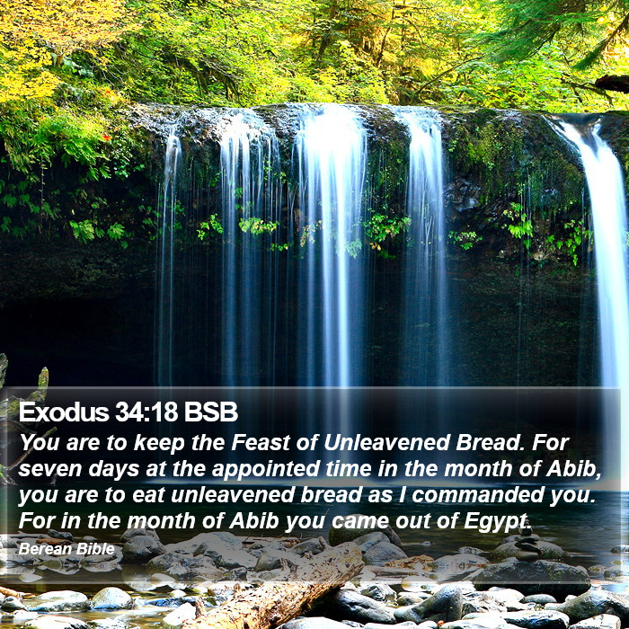 Exodus 34:18 BSB Bible Study