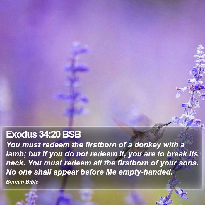 Exodus 34:20 BSB Bible Study