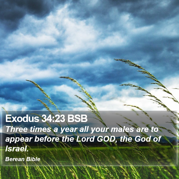 Exodus 34:23 BSB Bible Study