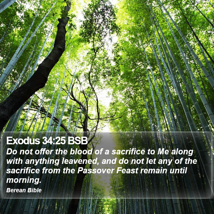 Exodus 34:25 BSB Bible Study