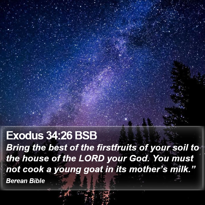 Exodus 34:26 BSB Bible Study