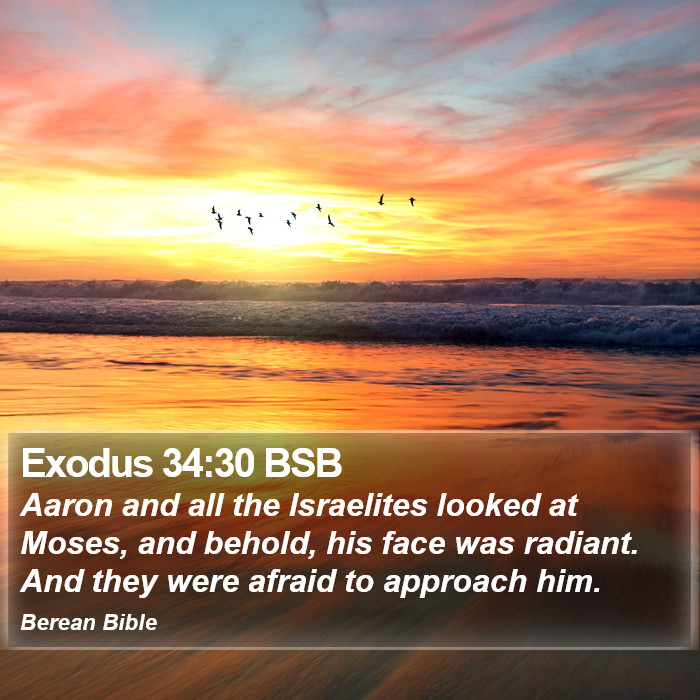 Exodus 34:30 BSB Bible Study