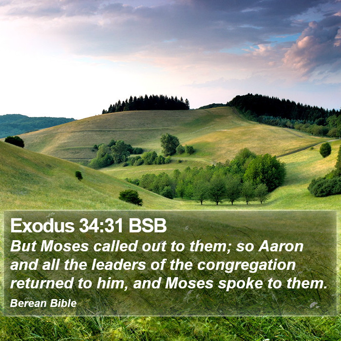 Exodus 34:31 BSB Bible Study